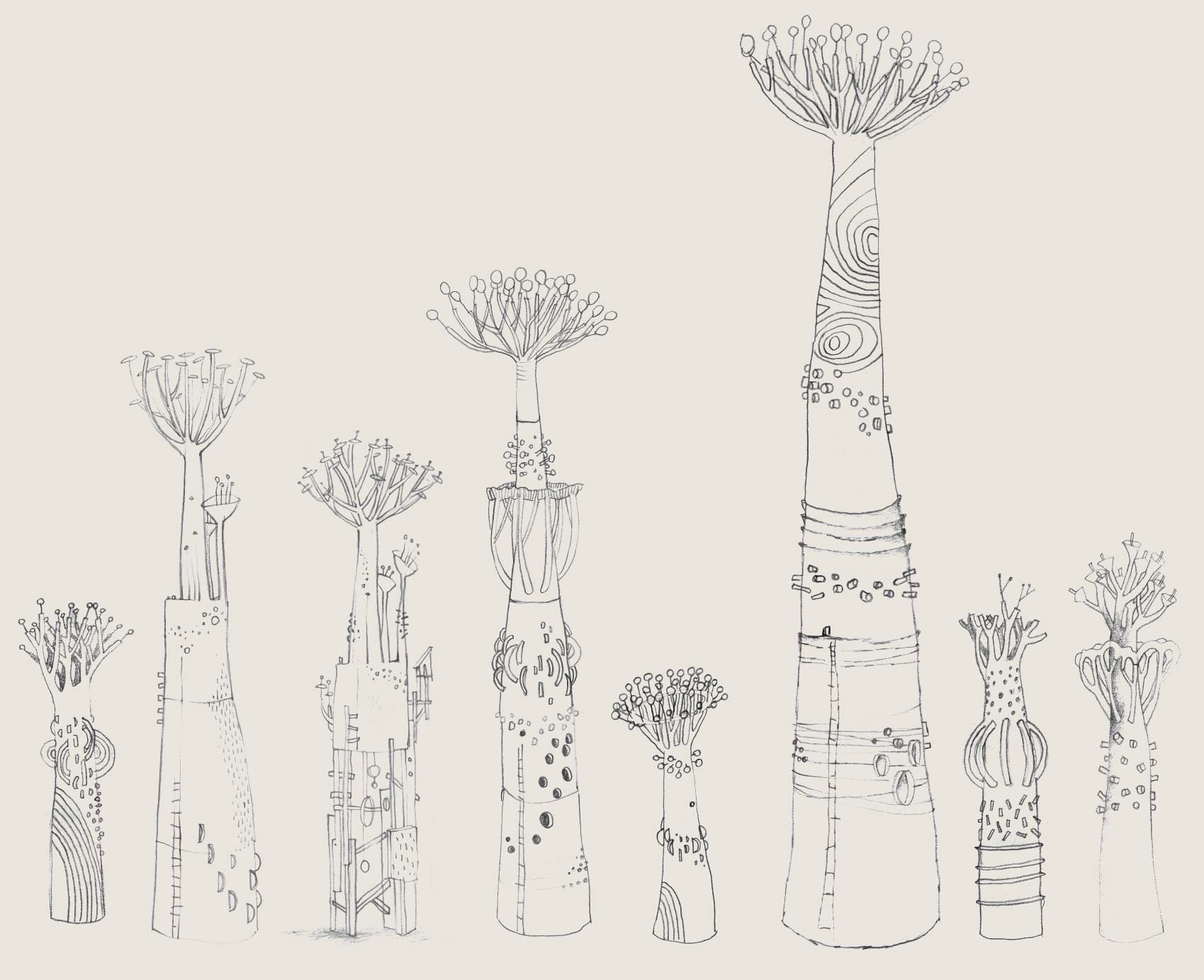 Drawings, sketches of the baobabs before modeling.