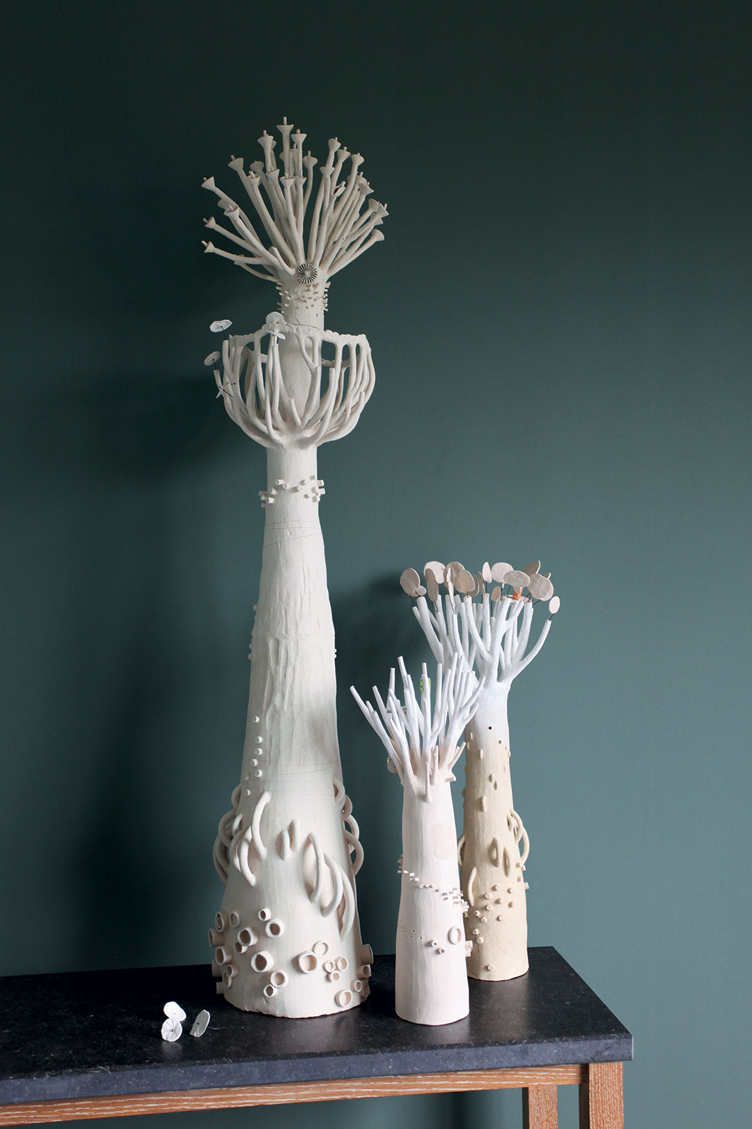 Photo of ceramics