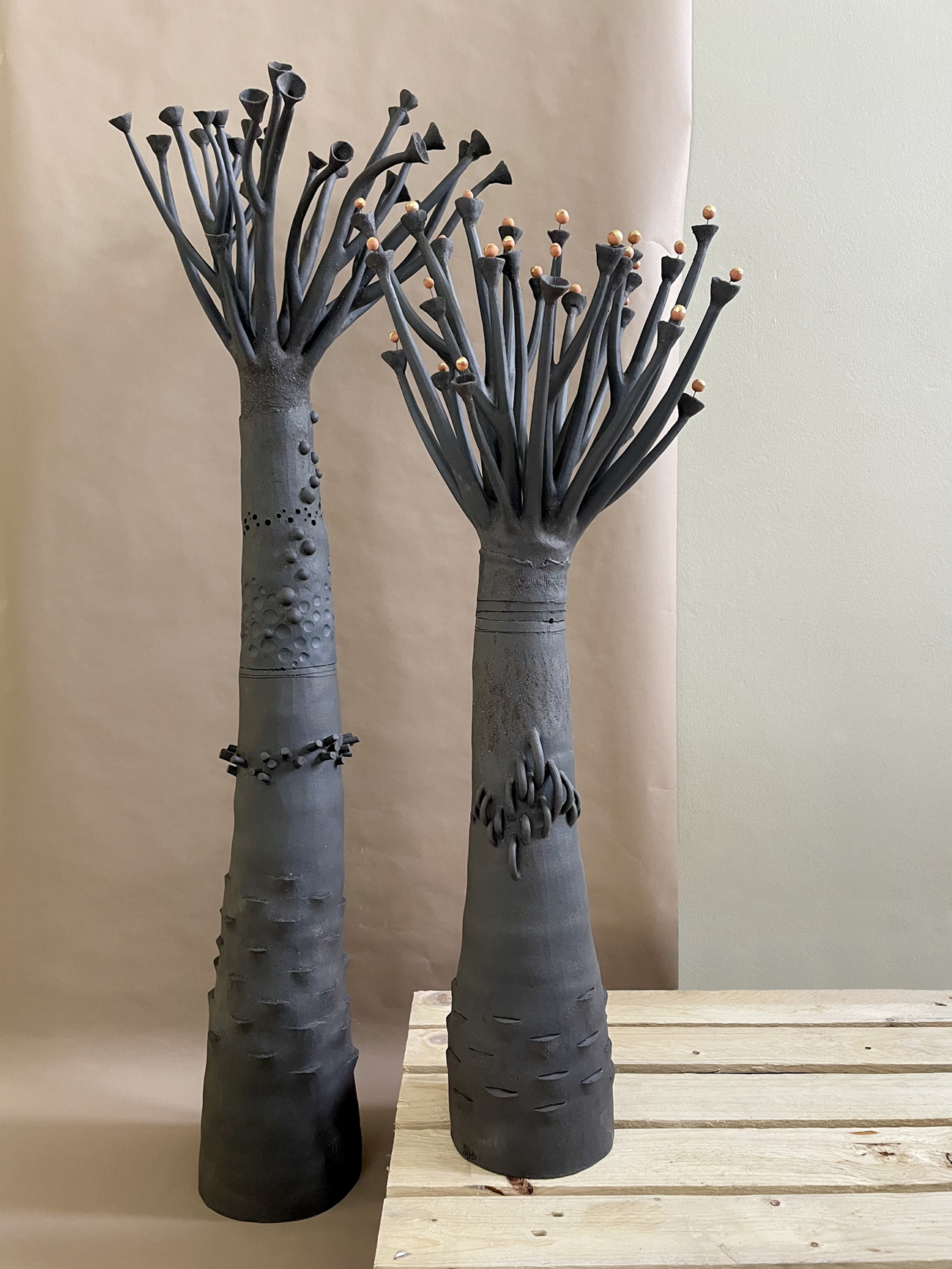 Picture of 'black Baobabs' piece