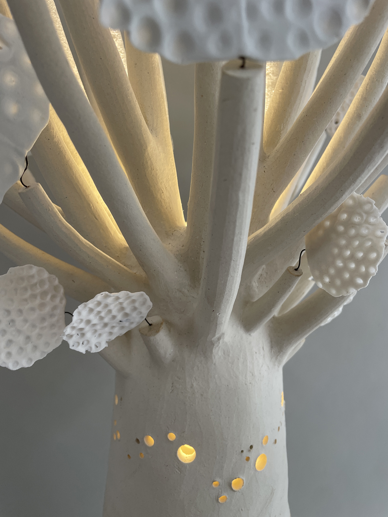 Picture of 'giant Baobabs' piece