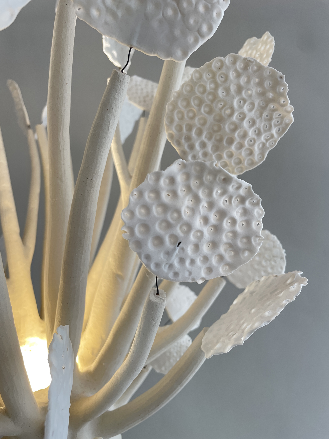 Picture of 'giant Baobabs' piece