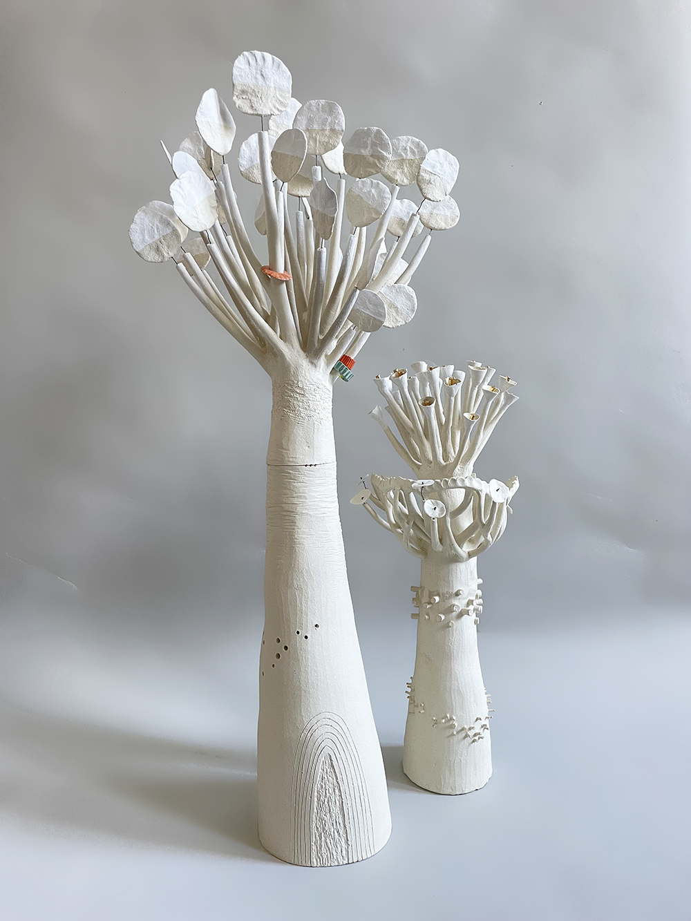 Photographie de la pièce 'jeunes Baobabs'