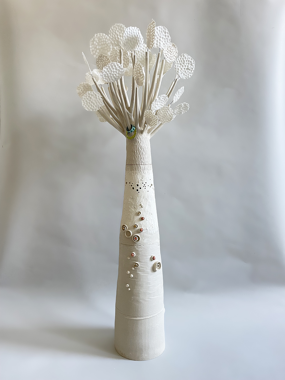 Photographie de la pièce 'grands Baobabs'