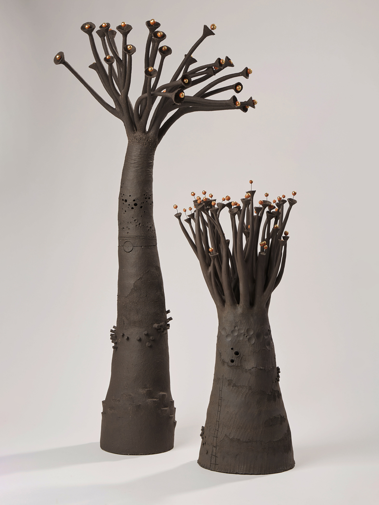 Photographie de la pièce 'Baobabs noirs'